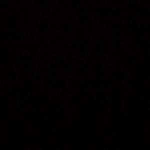 Meet your Posher, Allen